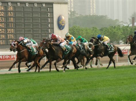 hong kong horse racing results.